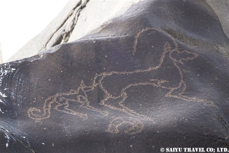 Snow Leopards Etched On Rock (Indus riverside, Chilas)